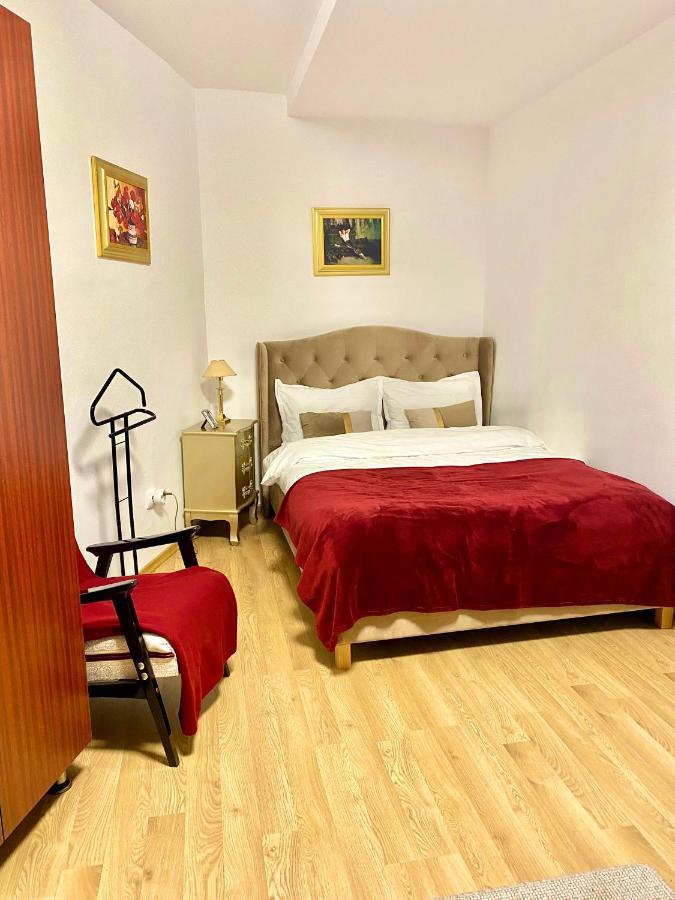 Studio Panoramic With Balcony And Parcul Unirii View Alba Iulia Exterior photo